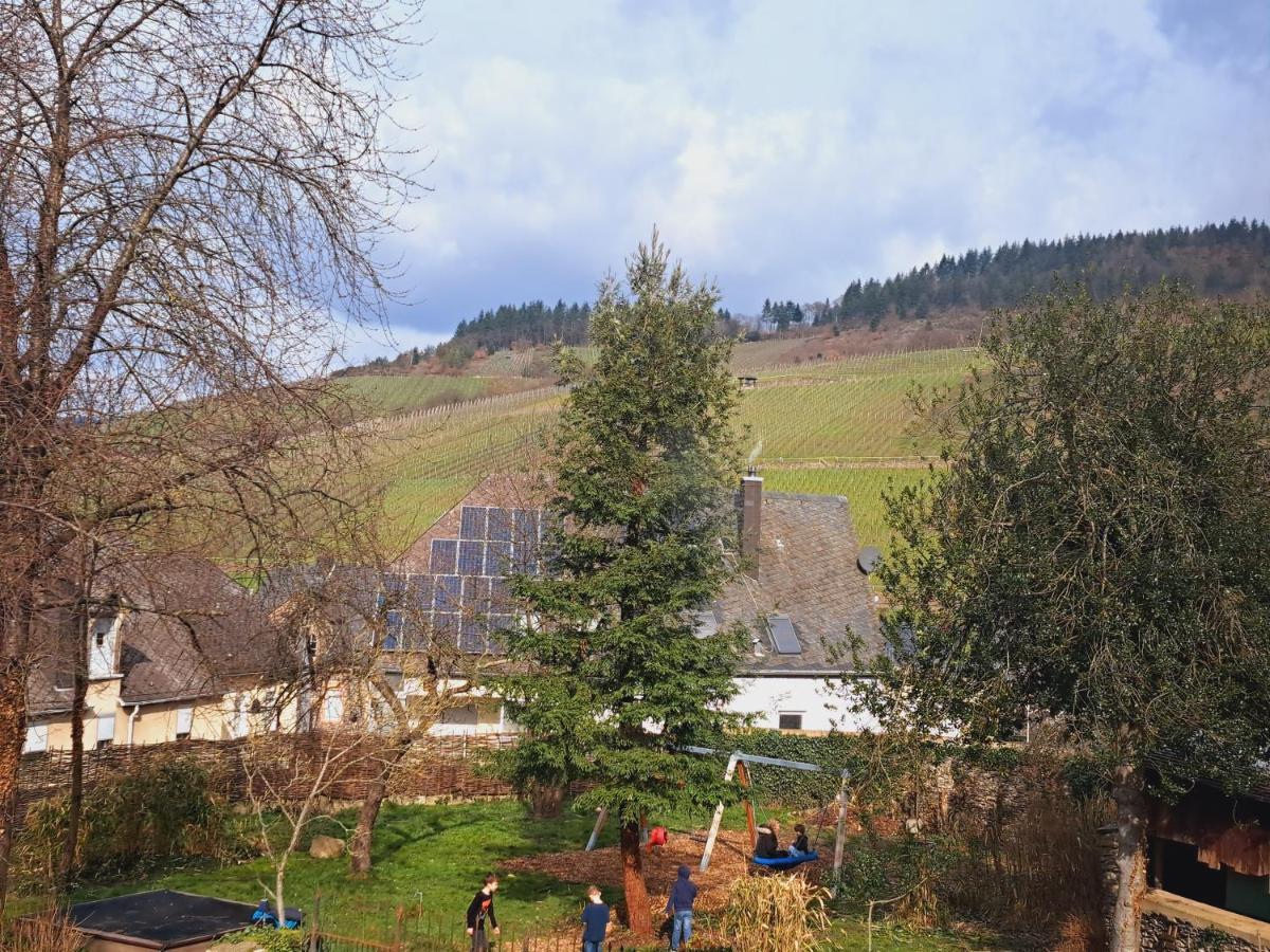 Haus Moselwald - 3 Bedrooms Enkirch Luaran gambar